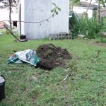 Hole