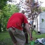 Tree Planting