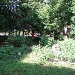 The Garden