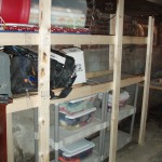 Basement Shelves
