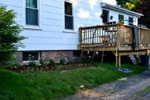 The Driveway Side Garden