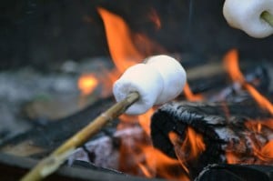 Roasting Marshmallows