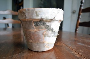 Birch Bark Covered Clay Pot