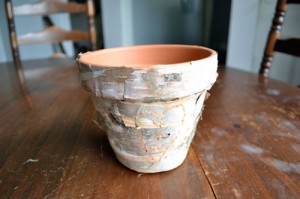 Birch Bark Pot