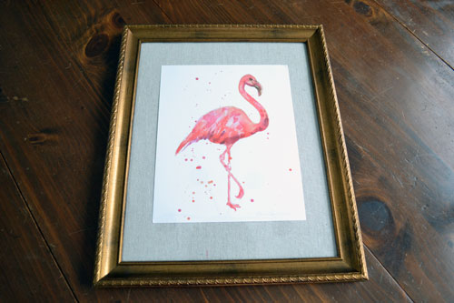 Art Week: Flamingos
