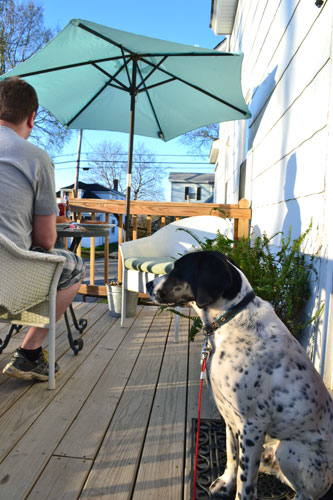 Enjoying First Dinner Of The Season On The Deck