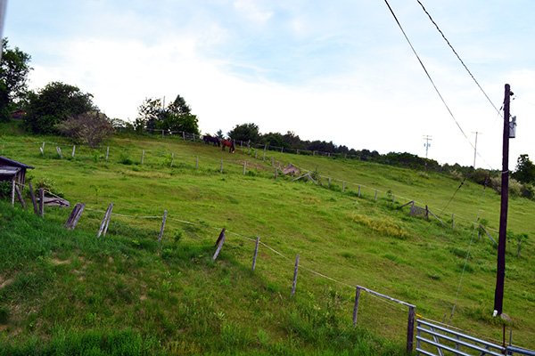 Former Sheep Farm Fields