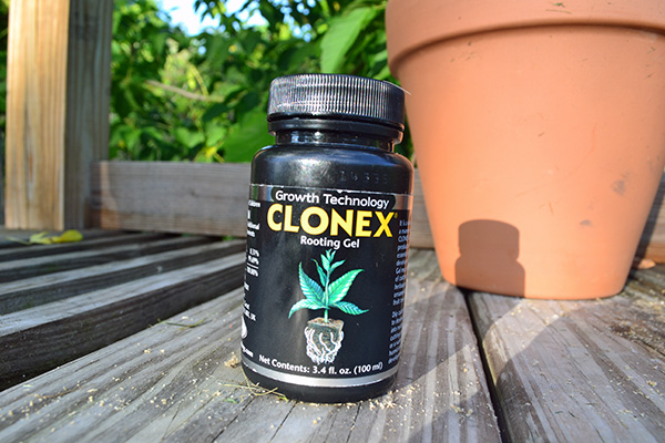 Clonex Rooting Gel