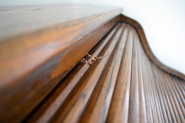 Gouged Rolltop Desk In Need Of Repair