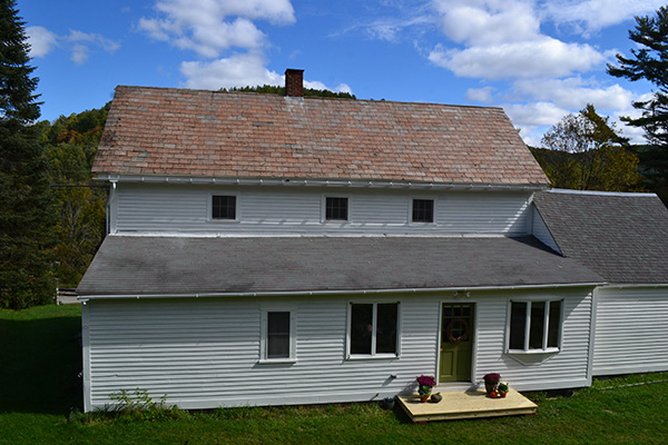 Back Of The House Painted