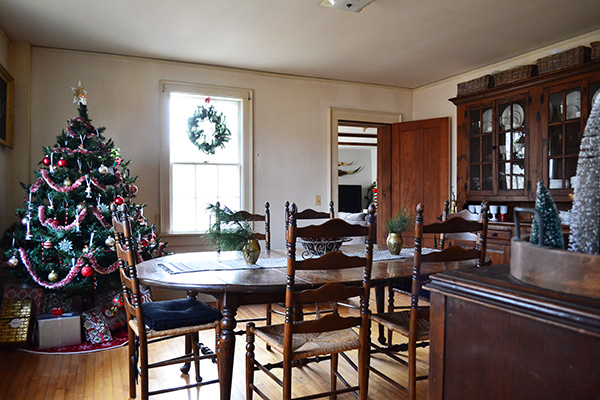 Christmas Tree In A Dining Room