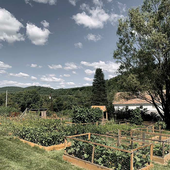 Vegetable garden expansion