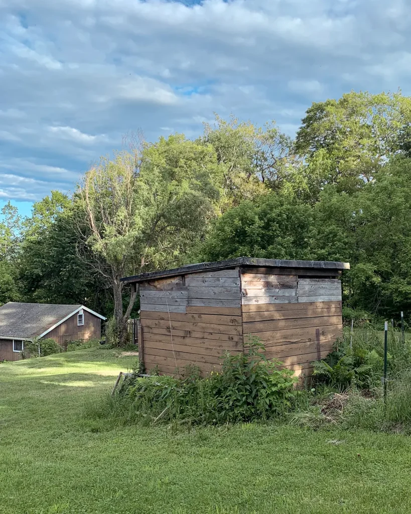 DIY shed to playhouse conversion before photo of old sheep farm shed