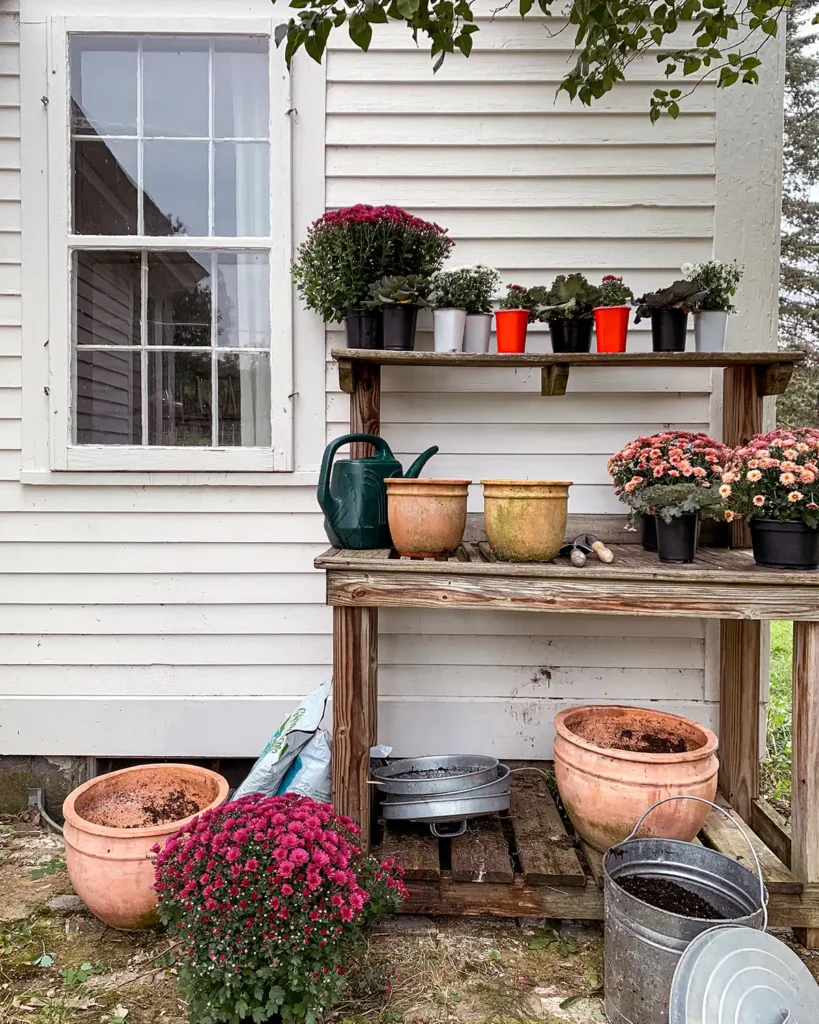 A potting bench used for potting fall mums for porch decor