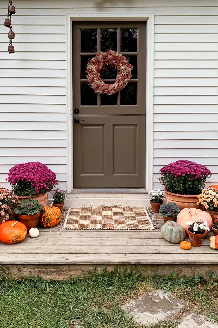 Back Porch Entry Ideas  Double patio doors, Indoor mats, Door mat