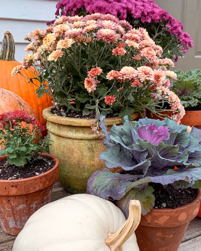 Layering mums and pumpkins for fall porch decor