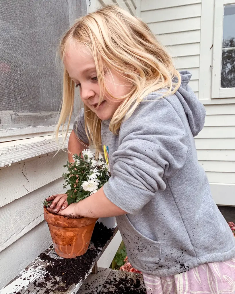 Potting fall flowers with kids