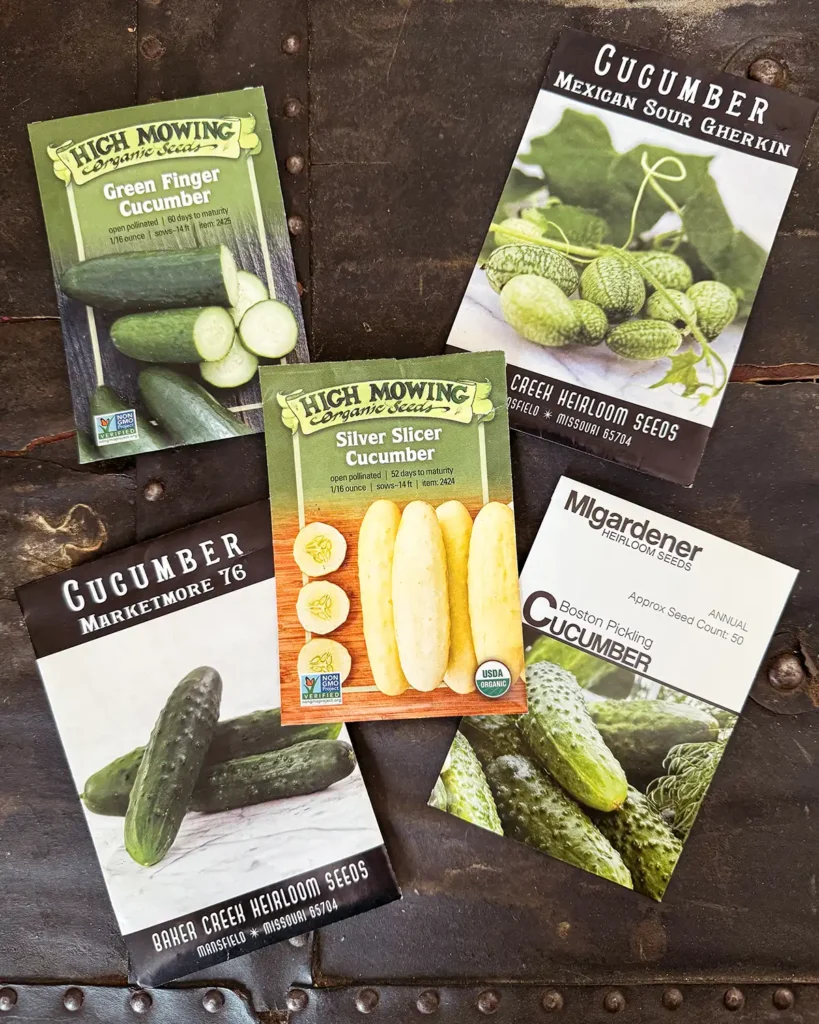 Cucumber seed packets for 2024 planting season featuring Boston Pickling, Green Finger, Marketmore 76, Silver Sliver, and Mexican Sour Gherkin (Cucamelon) Cucumber seeds