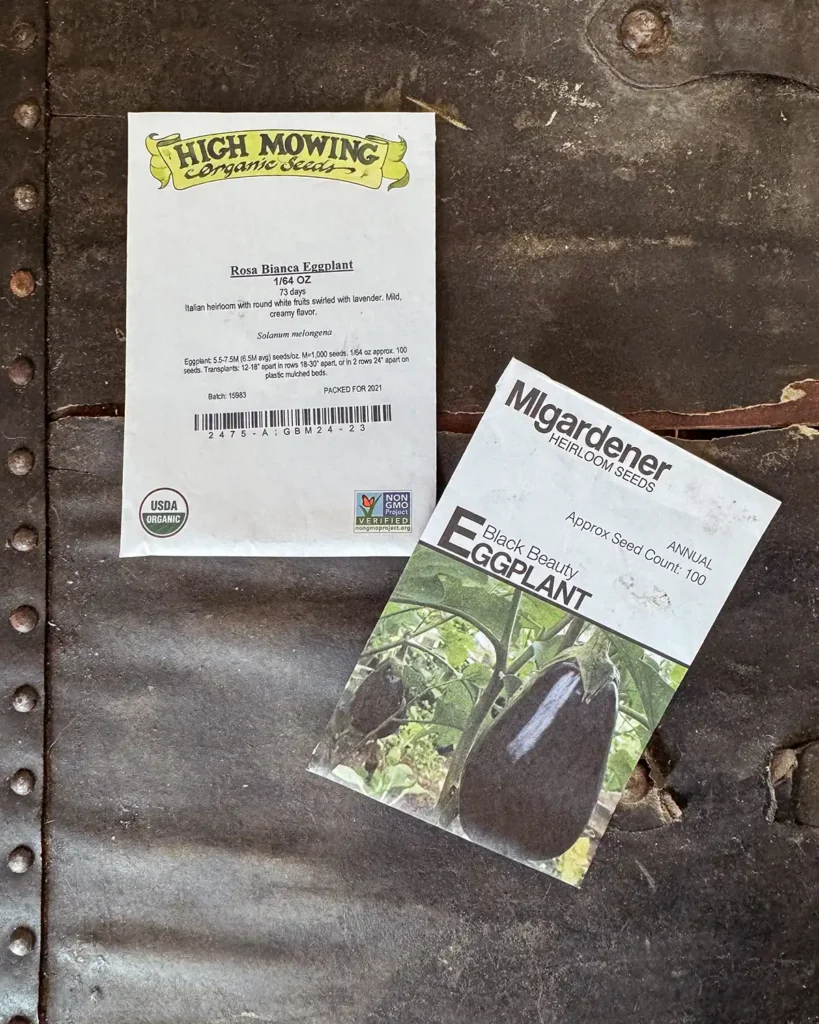 Eggplant seed packets for 2024 planting season featuring Black Beauty Eggplant and Rosa Bianca Eggplant