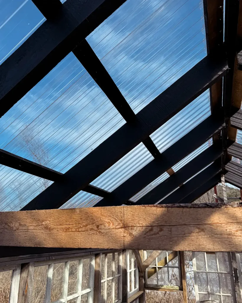 View of purlins supporting corrugated polycarbonate roofing sheets from inside a greenhouse