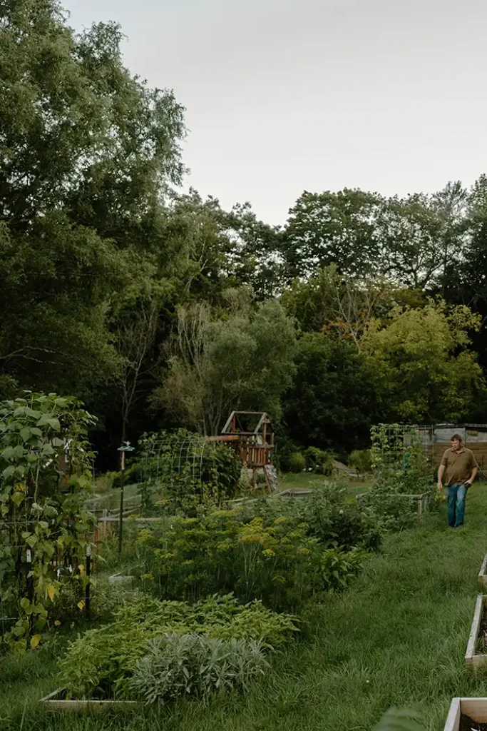 What is a kitchen garden featured image with several raised beds filled with vegetables ready for fall harvesting