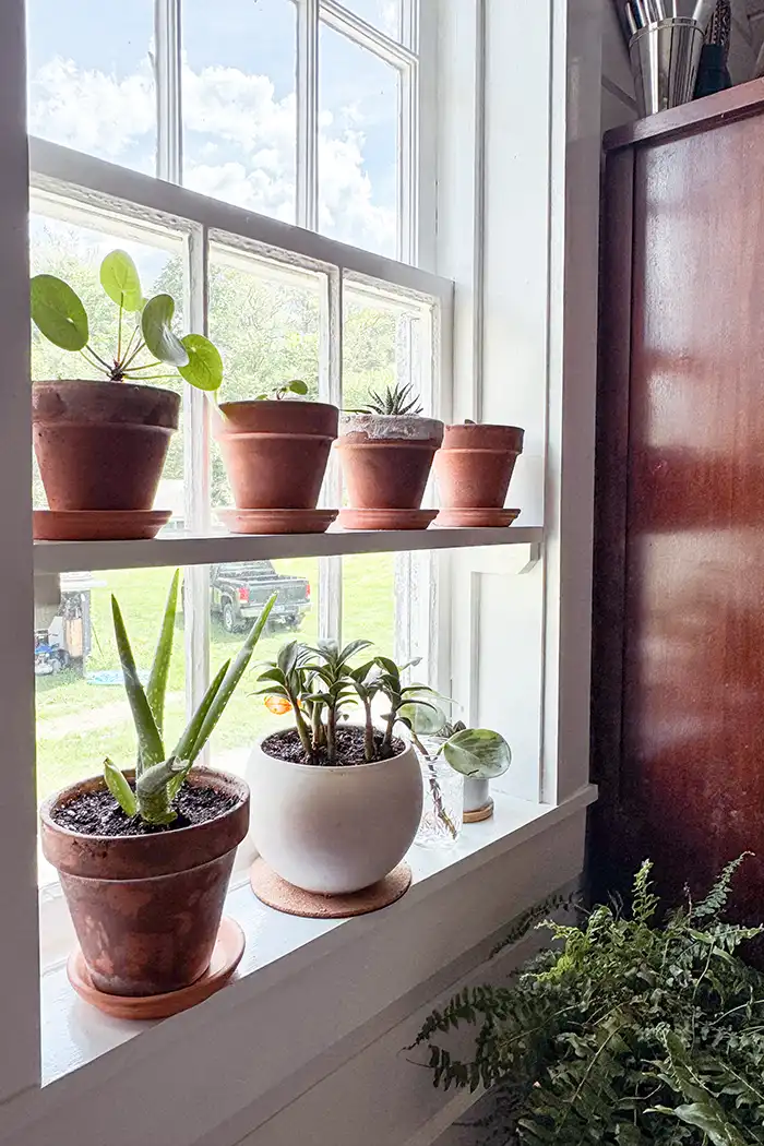 DIY window plant shelf featured image with a small wood window built to fit within the window frame and filled with small houseplants