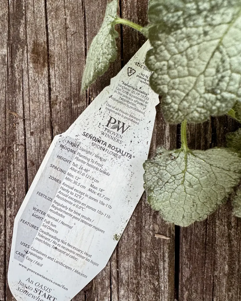 Flower plant tag on a weathered potting bench with plants surrounding it