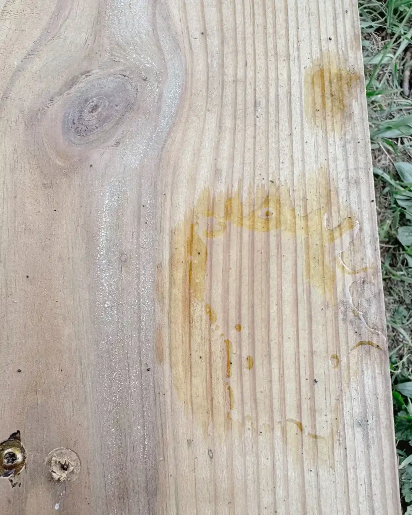 Water absorbing into weather pressure treated wood