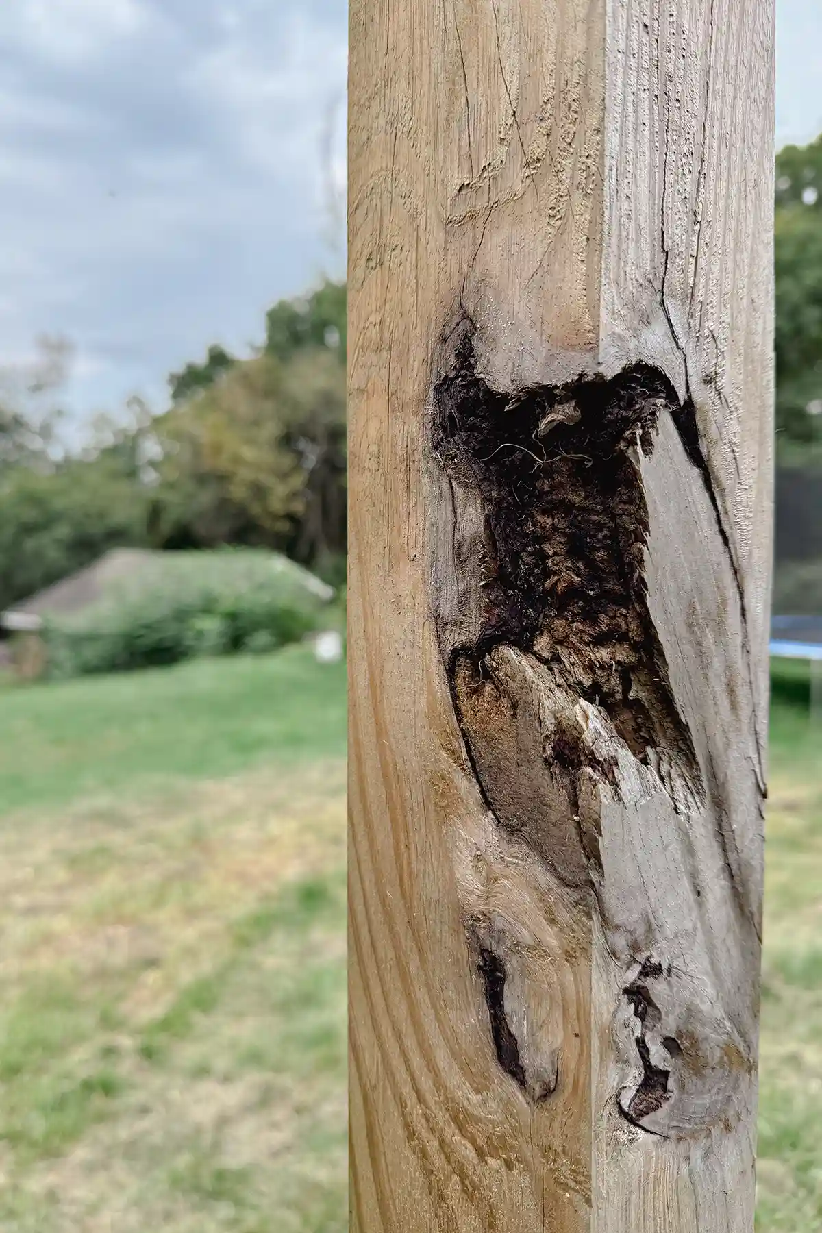 A large hole in a wooden post in need of a durable wood filler to repair the wood