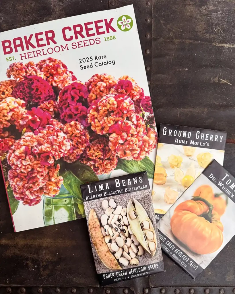 The 2025 Baker Creek seed catalog featuring a beautiful bouquet of pink flowers on the cover; the catalog is picture with three seed packets including Aunt Molly's ground cherry, Dr. Whyche's beefsteak tomato, and Alabama Blackeyed Butterbean lima beans