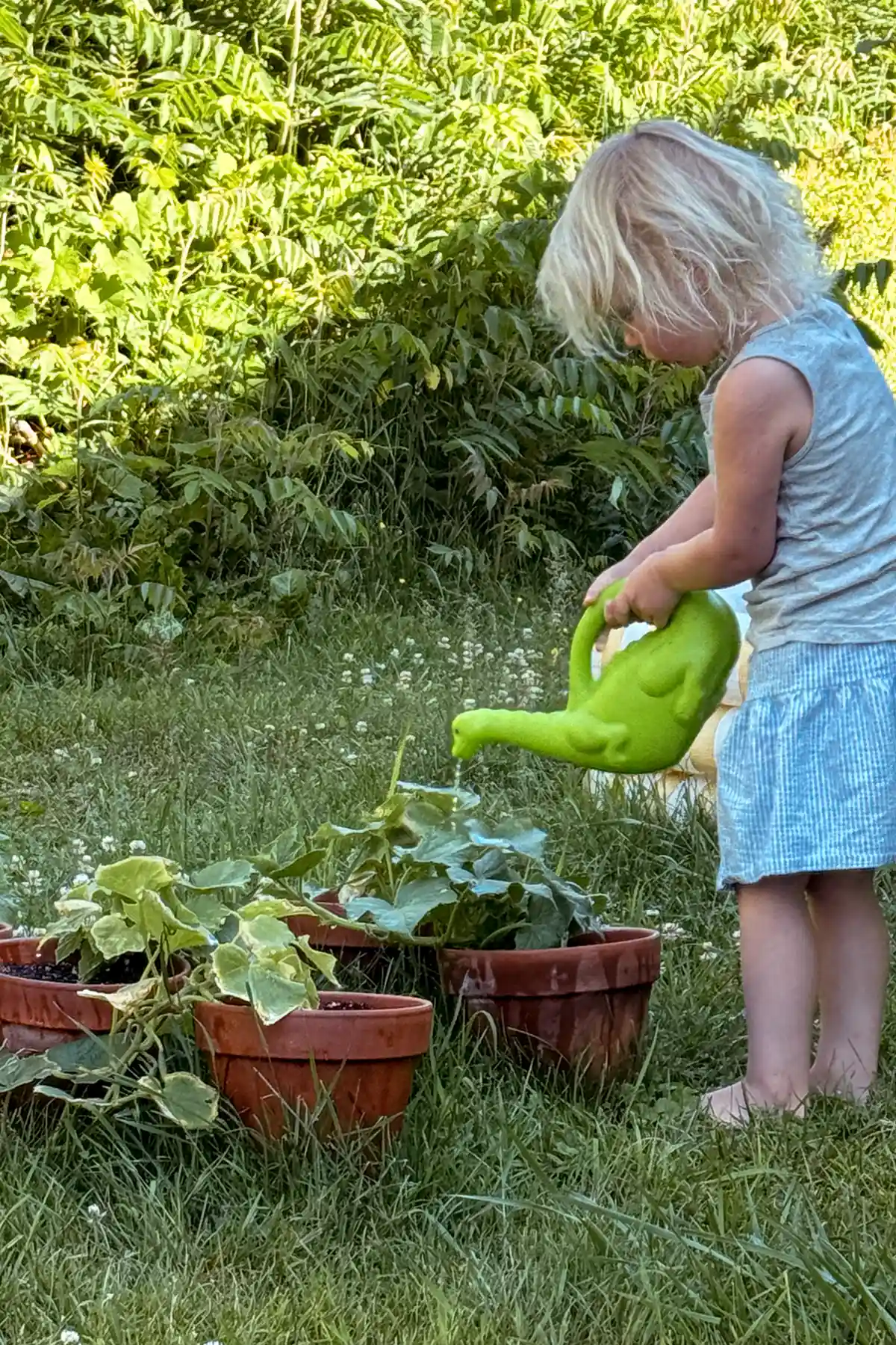 A photo of the biggest reason why I garden, teaching my children how to grow food with a toddler using a green watering can to water cucumbers in terracotta pots