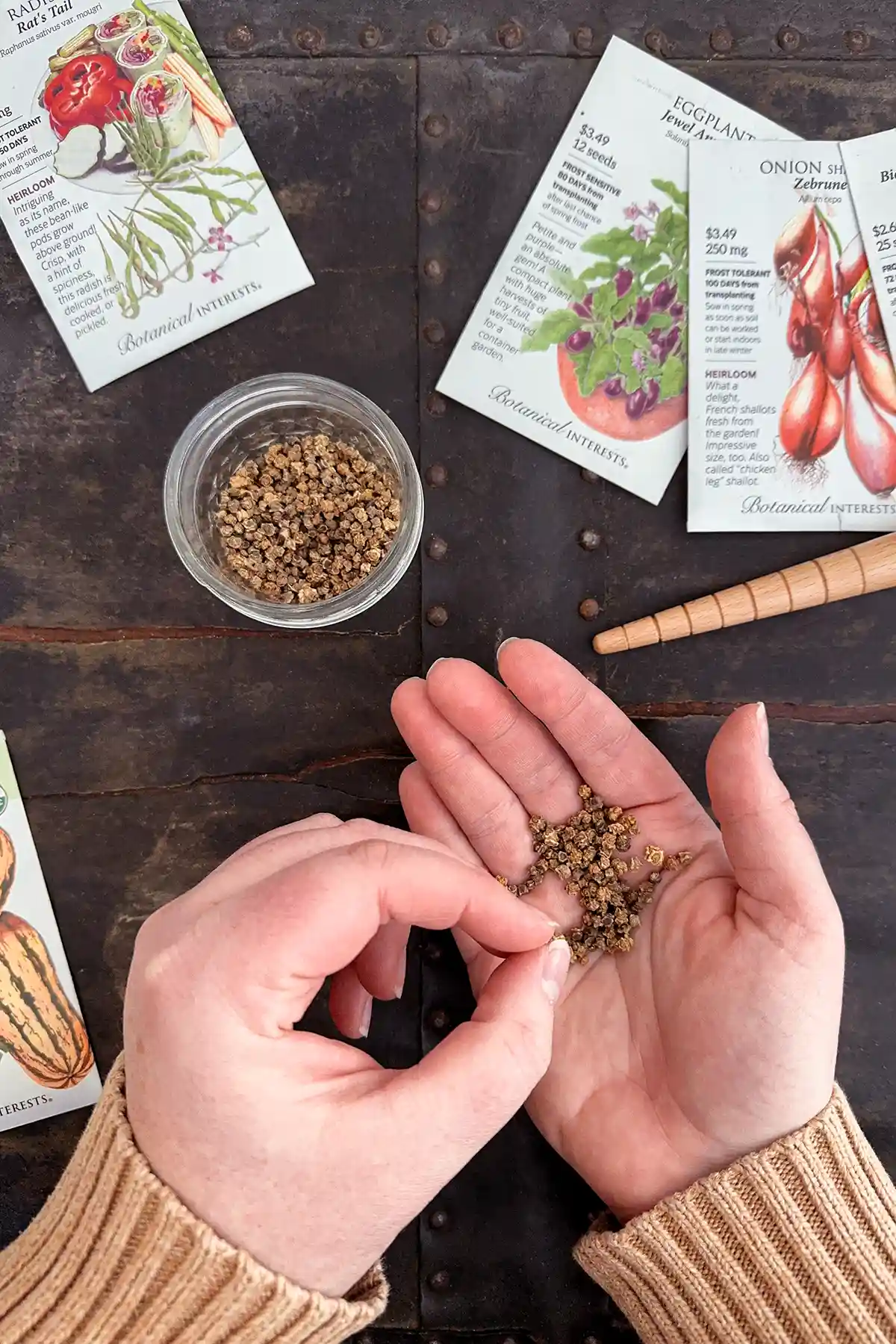 A collection of seed packets spread across the black table top, small glass jar filled with beet seeds, a wooden dibbler on the table, and a pair of hands holding beet seeds in one hand while selecting a seed with the other hand