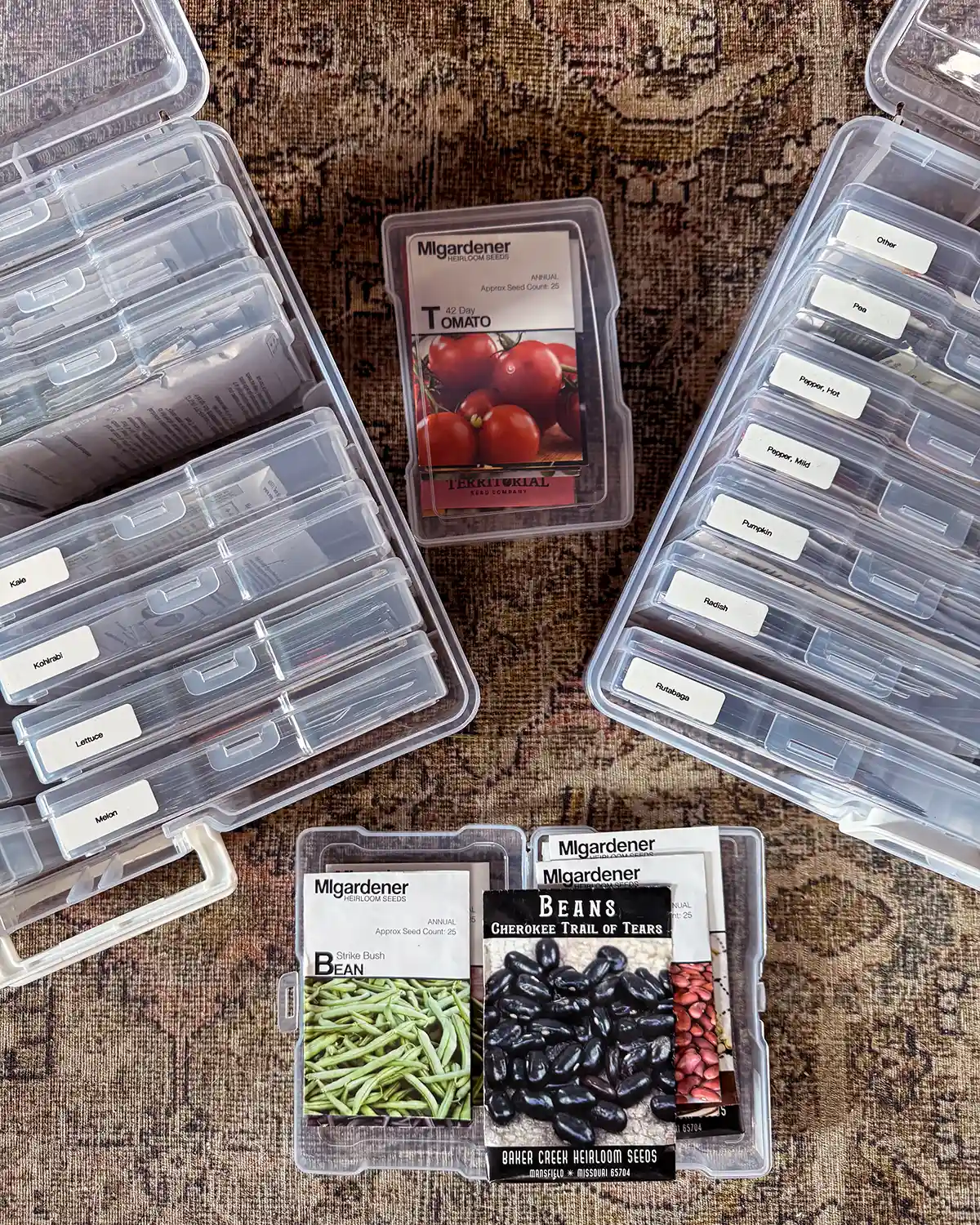 Organizing seeds in a plastic photo storage box turned into a DIY seed organizer, seed packets fill the photo boxes which are labeled by seed type and placed in the larger storage box; packets of seeds are spread out on the floor next to the photo boxes
