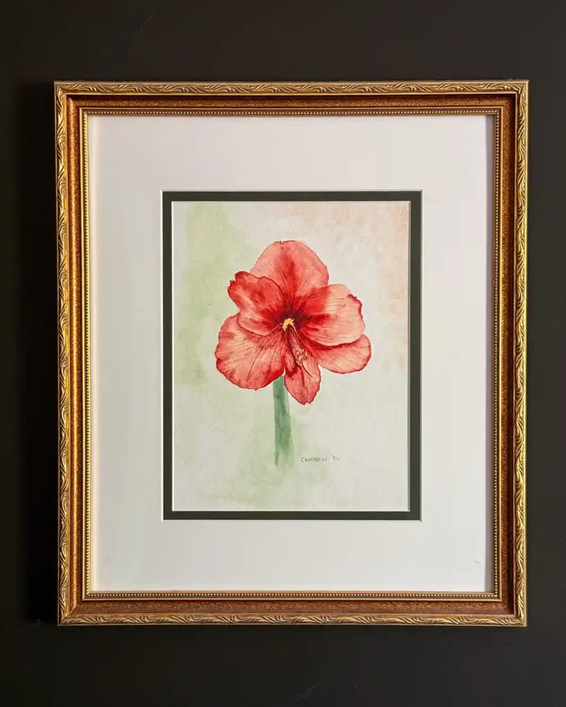A watercolor art print of an amaryllis flower in a pink/red color framed with a gold frame and hanging on the wall