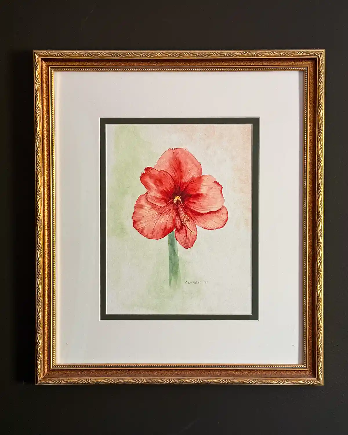A watercolor art print of an amaryllis flower in a pink/red color framed with a gold frame and hanging on the wall