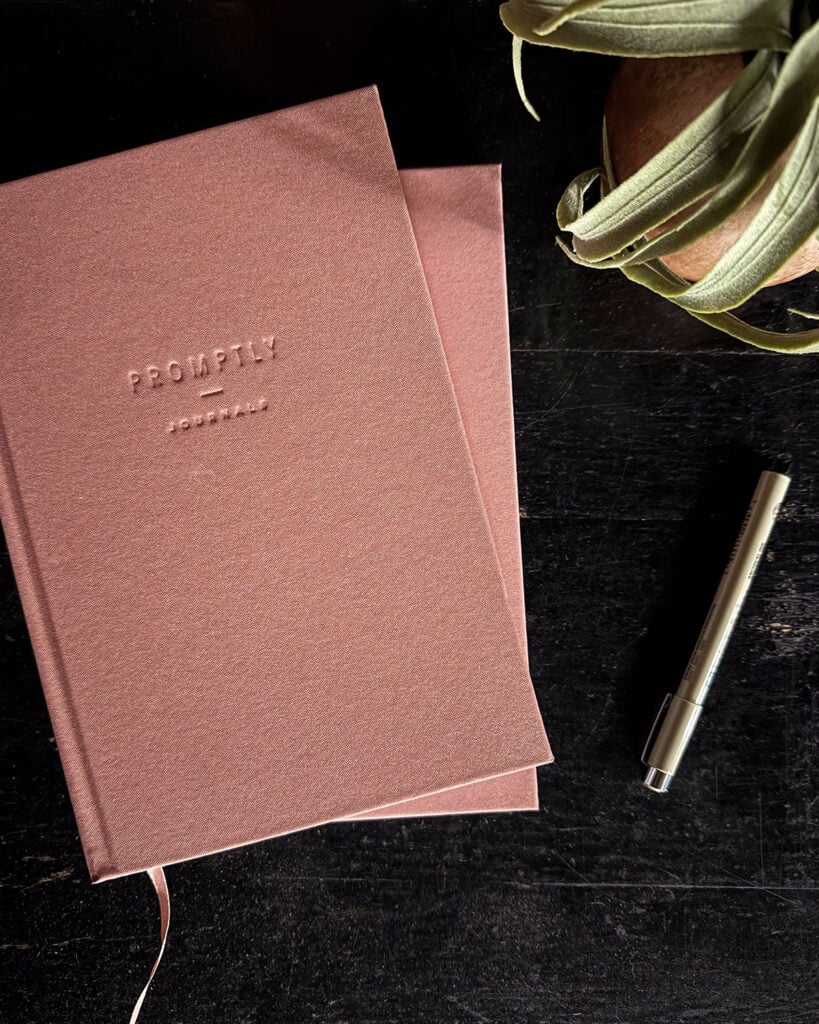 A pair of pink Promptly Journals sitting on a vintage black table with a pen and potted succulent plant