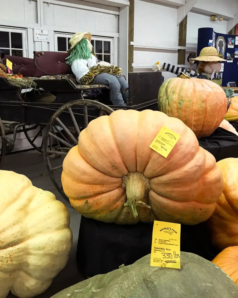 Visiting the giant pumpkins at the Tunbridge World's Fair and fall festival in Vermont