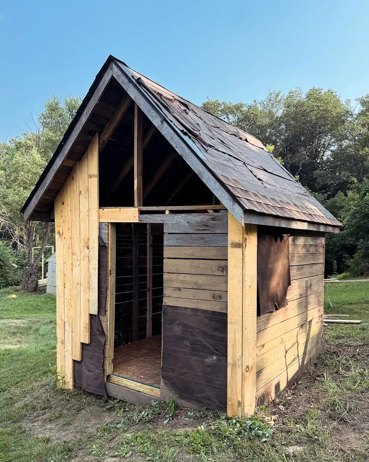 A shed renovation progress pic with a new gable roof, shingles going on, and vertical siding being installed