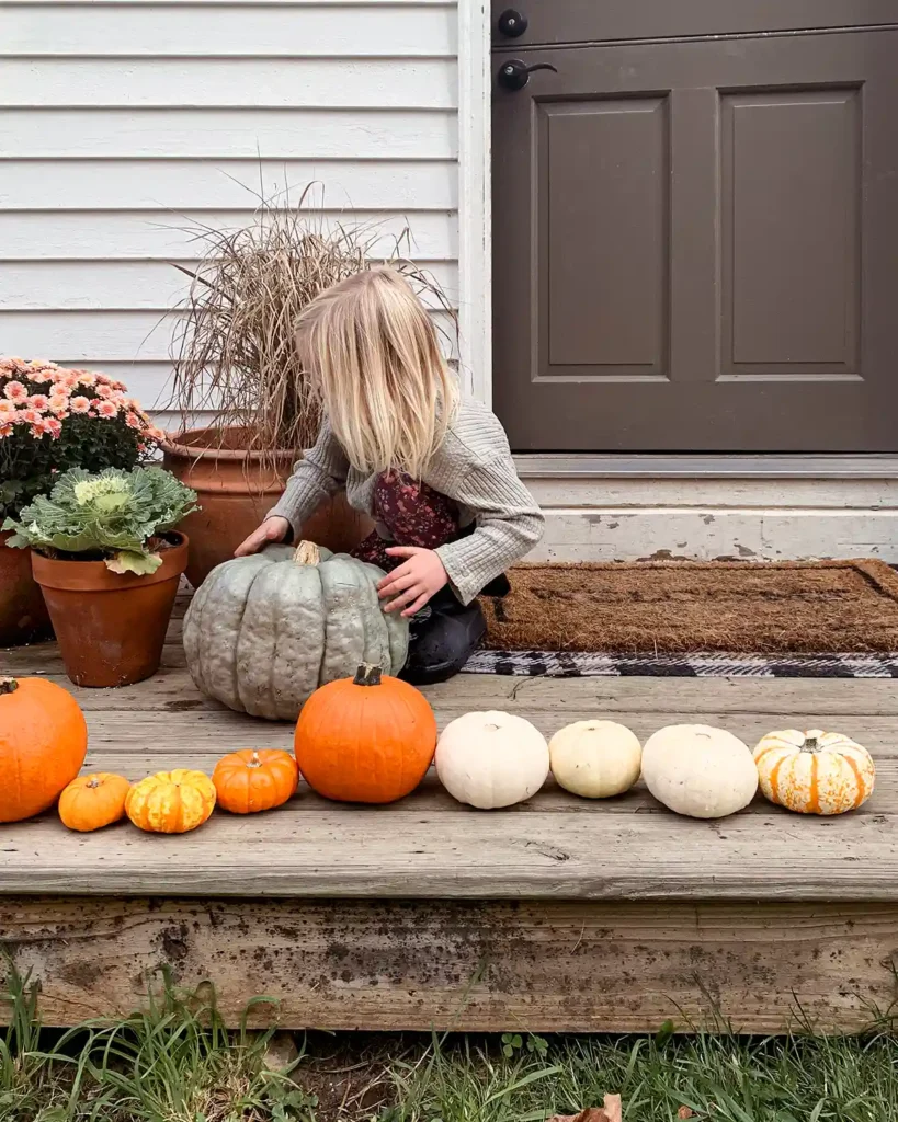 A child arranging their fall pumpkin haul from the local pumpkin patch on a back stoop amongst potted mums; includes orange, white and green pumpkins in various sizes