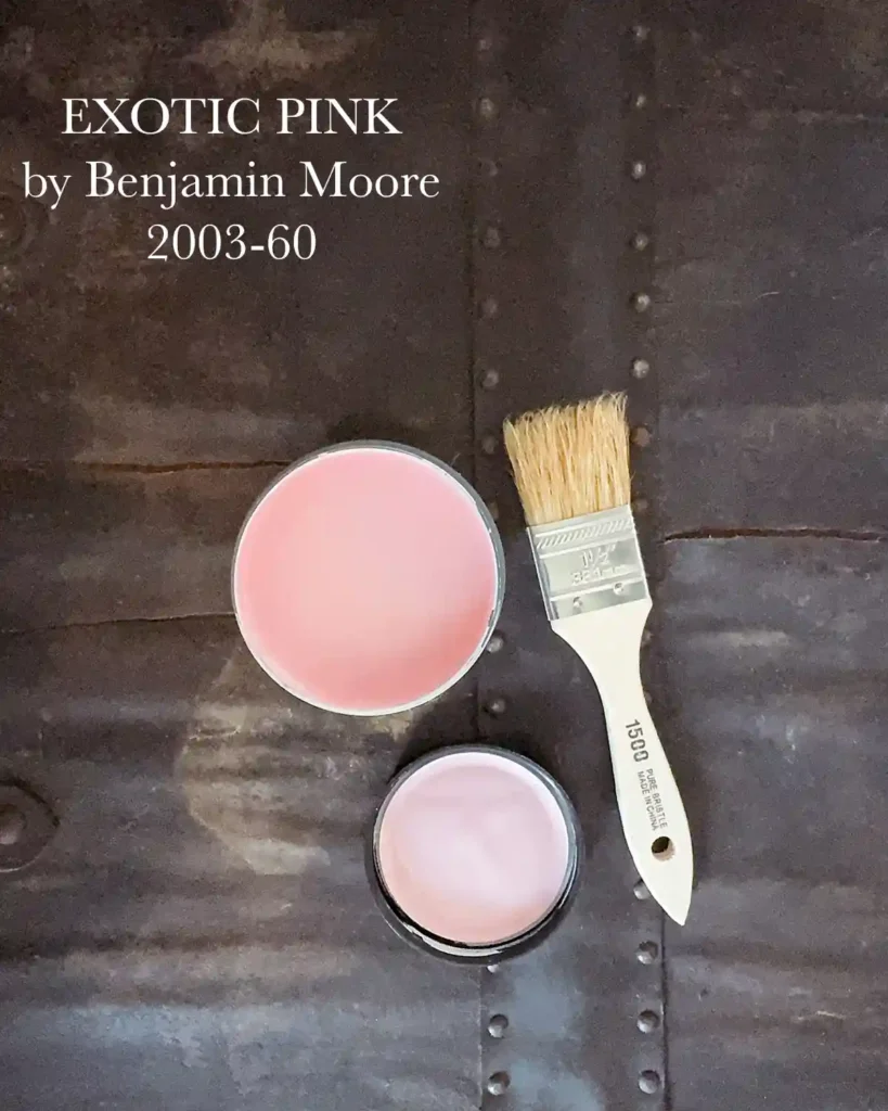An open sample pot of Exotic Pink by Benjamin Moore (2003-60) sitting on a weathered surface with a paint brush