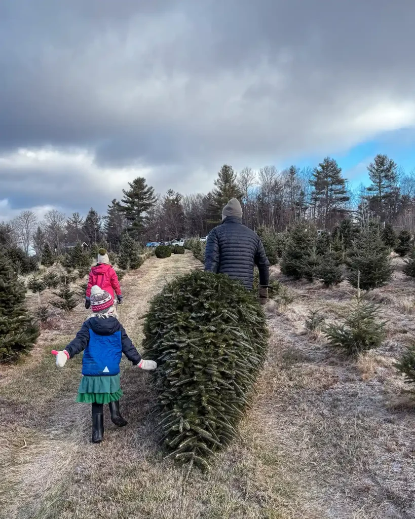 Cutting down a Christmas tree at a local farm and dragging it up the hill back to the truck