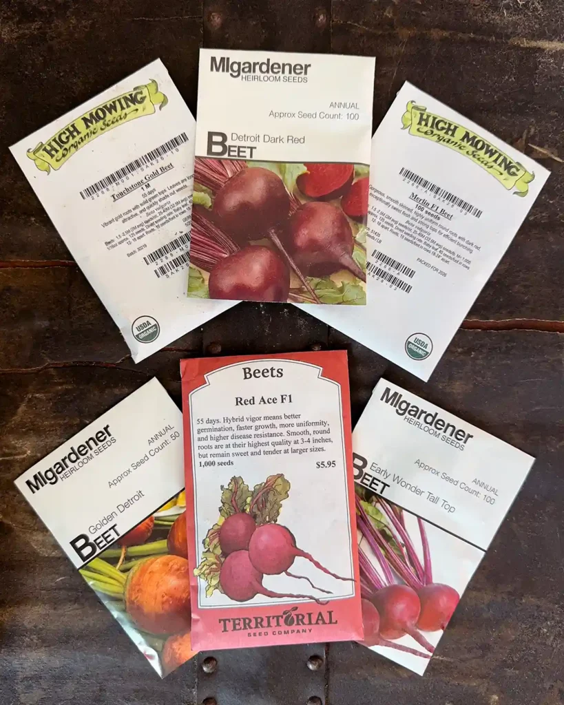 Beet seed packets for the 2026 planting season featuring Touchstone Gold Beet, Detroit Dark Red Beet, Sweet Merlin Beet, Red Ace Beet, and Early Wonder Tall Top Beet