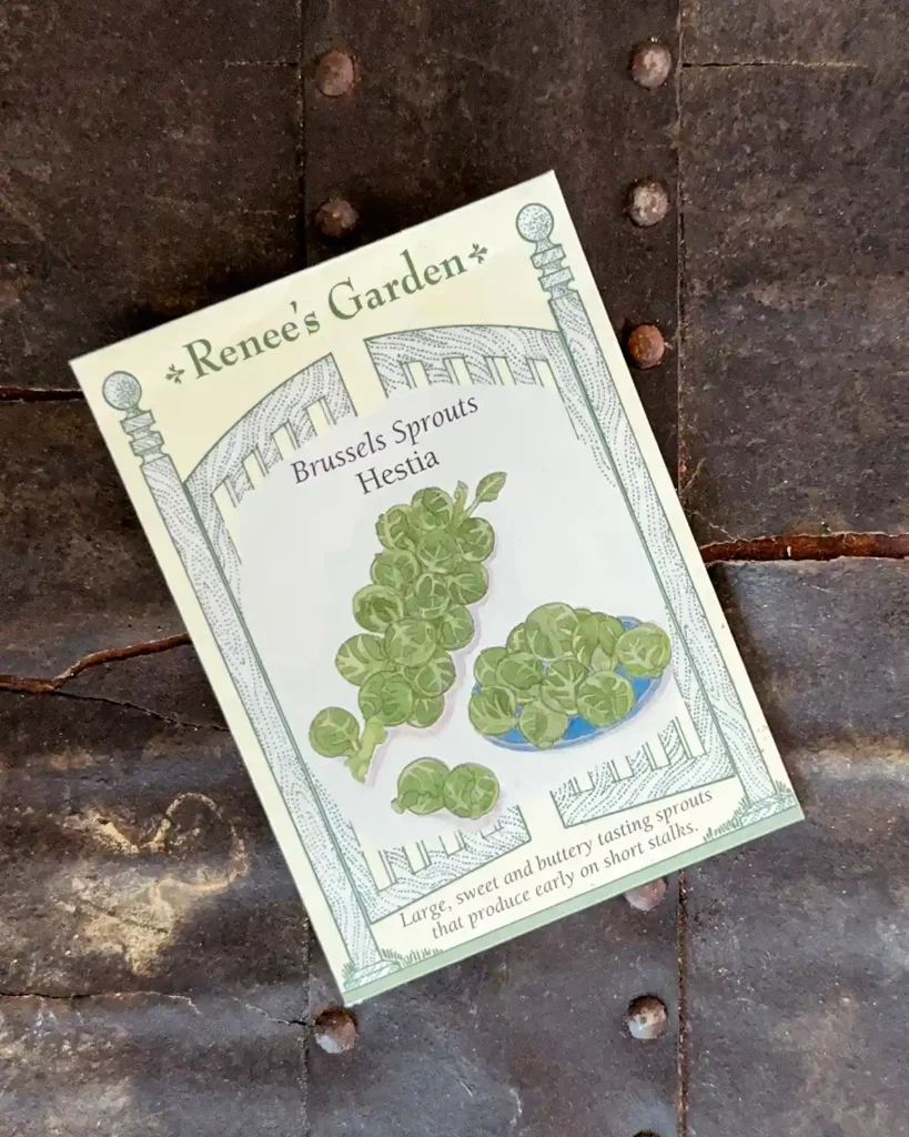 Brussels sprouts seed packets for the 2026 planting season featuring Hestia Brussels Sprouts
