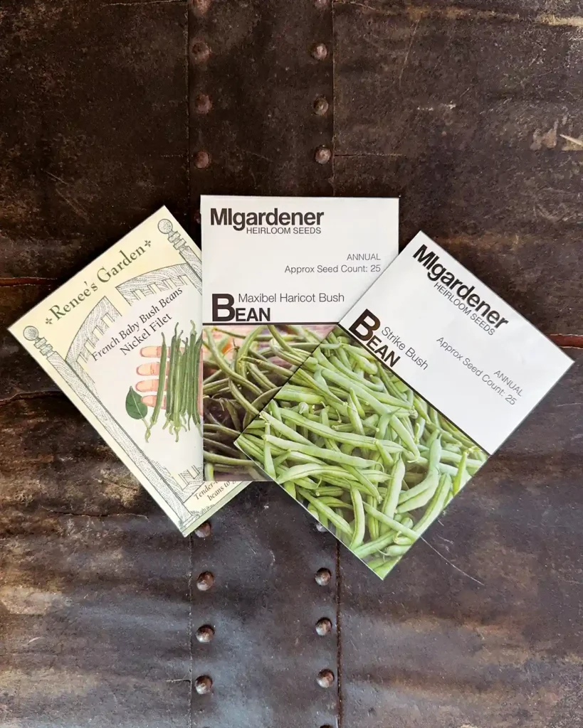 Bush snap bean seed packets for the 2026 planting season featuring French Baby Nickel Filet, Maxibel Haricot, and Strike