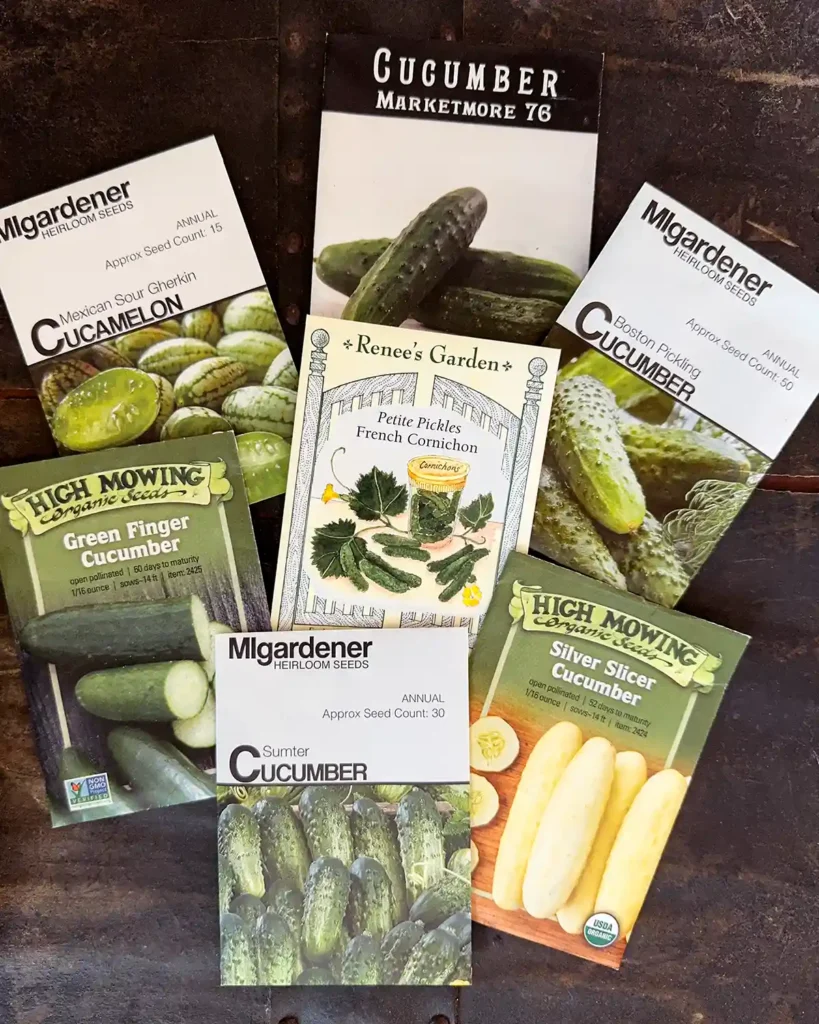 Cucumber seed packets for the 2026 planting season featuring Boston Pickling, Cucamelon Mexican Sour Gherkin, French Cornichon, Green Finger Cucumber, Marketmore 76, Silver Slicer Cucumber, and Sumter Cucumber