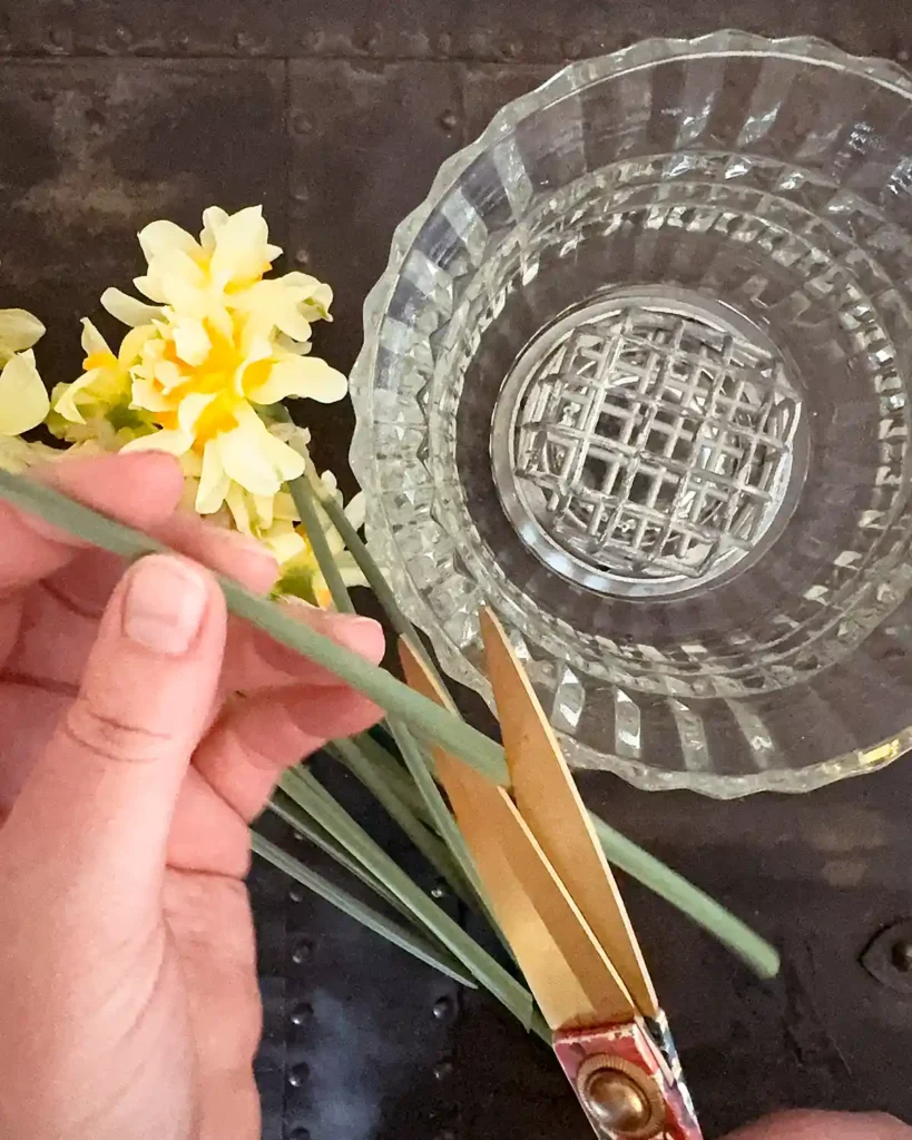 Cutting daffodil flower stems with a pair of scissors while a glass vase with a metal cage floral frog sits next to the flowers