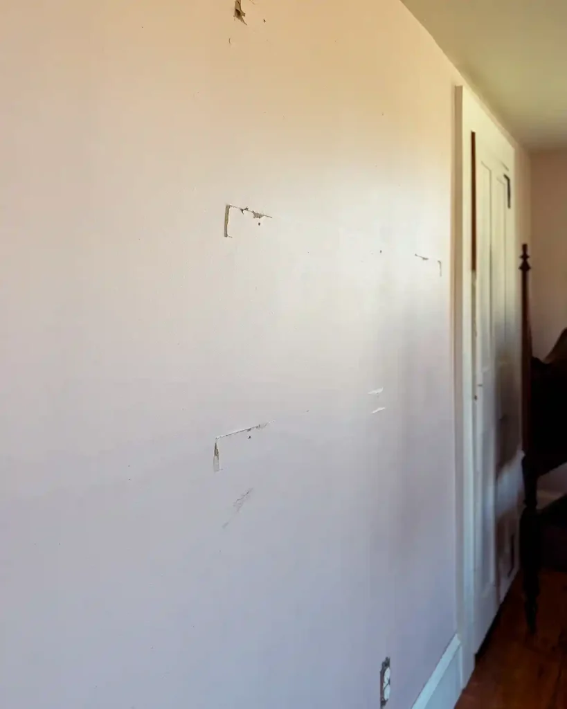 Small holes, imperfections, and other damage to the painted drywall that's in need of repair, mostly from where a set of shelves was removed from the wall