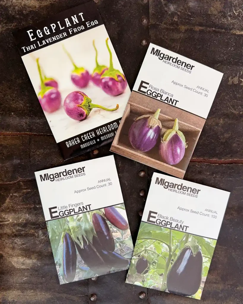 Eggplant seed packets for the 2026 planting season featuring Black Beauty Eggplant, Little Fingers Eggplant, Rosa Bianca Eggplant, and Thai Lavender Frog Egg