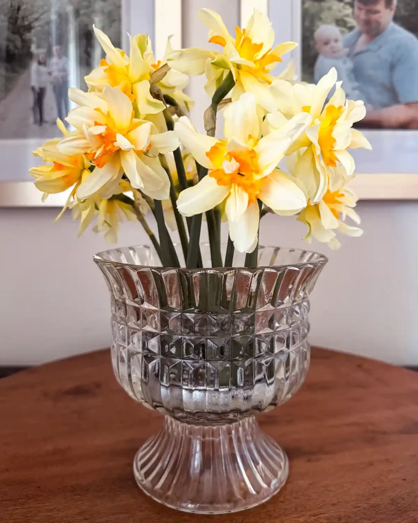 Arranging daffodil flowers in a clear glass vase using a flower frog; daffodil floral arrangement sitting on a wood surface