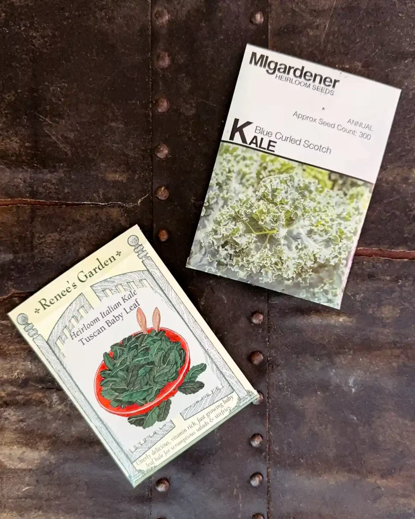 Carrot seed packets for the 2026 planting season featuring Blue Curled Scotch Kale and Tuscan Baby Leaf Kale